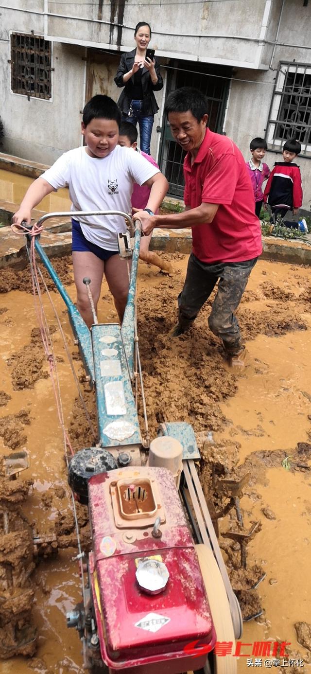 种水稻的城里娃——怀化市红星路小学学生水稻种植体验侧记