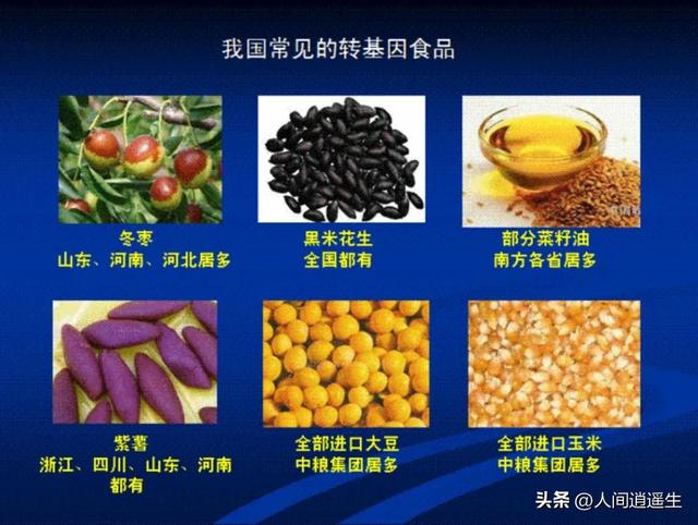 转基因食品，安全还是危险？