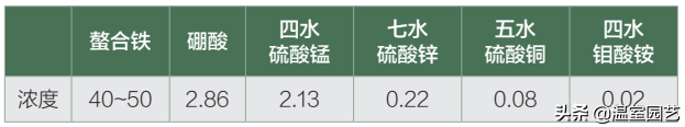 贝贝南瓜｜椰糠高产栽培关键技术