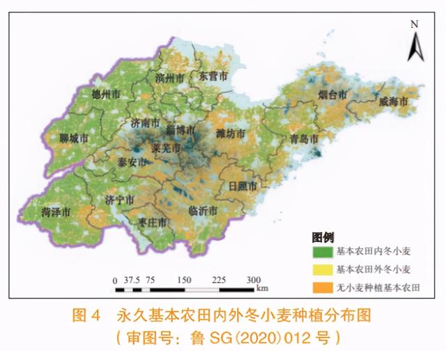 省域冬小麦种植面积监测分析方法与应用