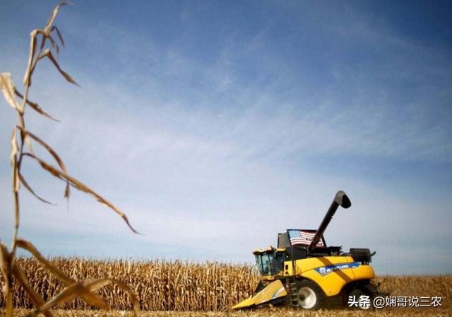 解析玉米种植的地形需求，掌握地膜栽培技巧，才能提高产量