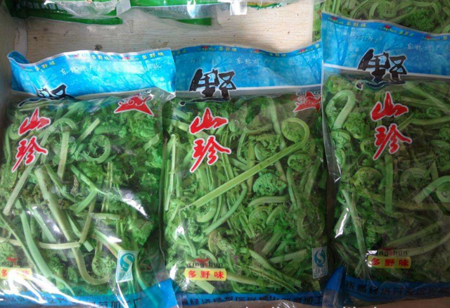 难得一见的东北山野菜，酷似蕨菜，如今出口成风，别有风味一斤15