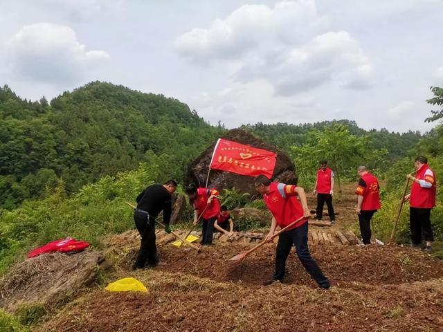 广元昭化：林下有“道” 妙计生“金”