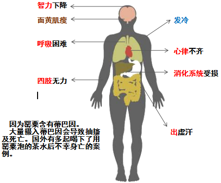 一株也不行！烟台多人因种植它被处罚！快看看你家有没有！