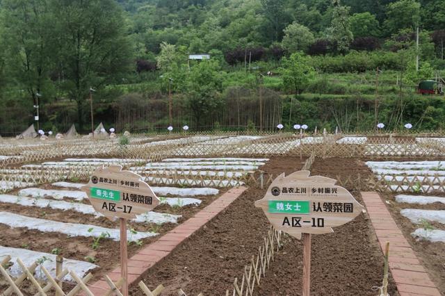 宝鸡市渭滨区人武部助力乡村振兴新“战场”