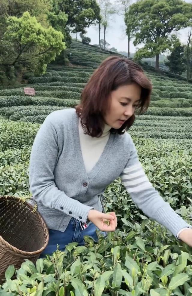 央视主持刘芳菲穿万元衣干农活！素颜吸睛长白发，45岁未婚太可惜