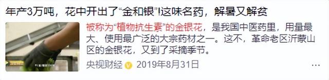 央视称它“植物抗生素”！用它泡水喝，活血、解毒、化栓！不怕淤和堵！