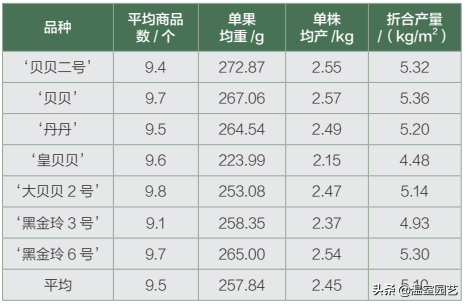 贝贝南瓜｜椰糠高产栽培关键技术