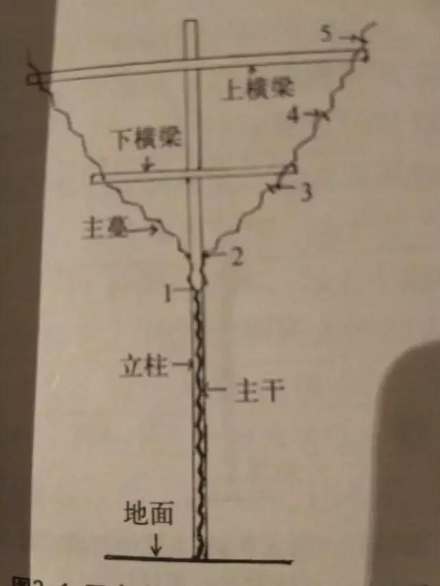 葡萄苗当年优质管理技术（完全版）