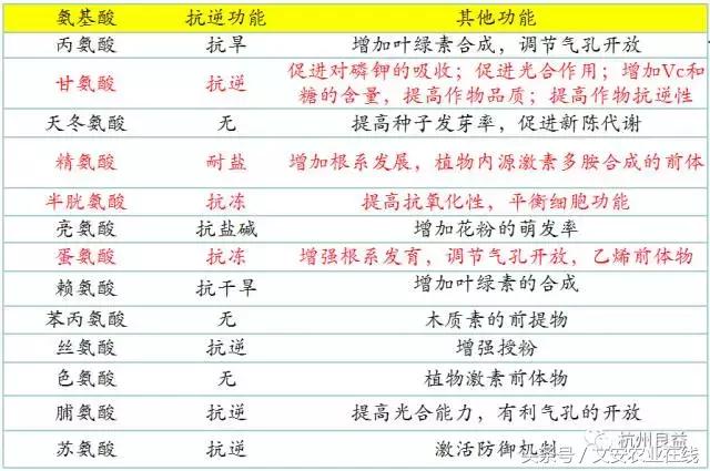 西瓜全程种植技术方案