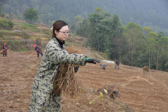 赵代香：万里回国建药材基地 四年打拼引村民致富