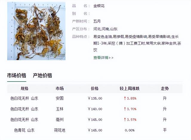 此花非彼花！“十万亩山银花”引爆贵州百灵背后