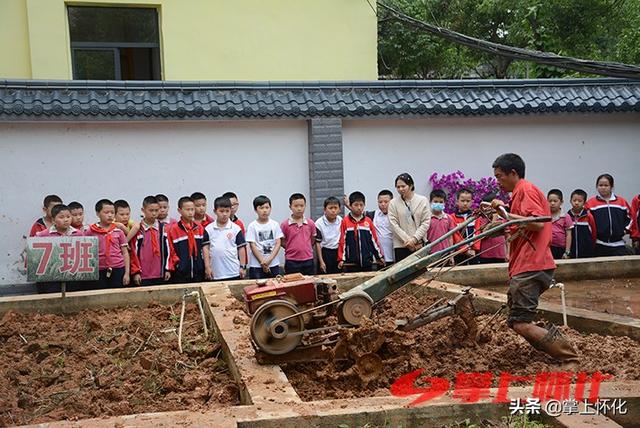 种水稻的城里娃——怀化市红星路小学学生水稻种植体验侧记