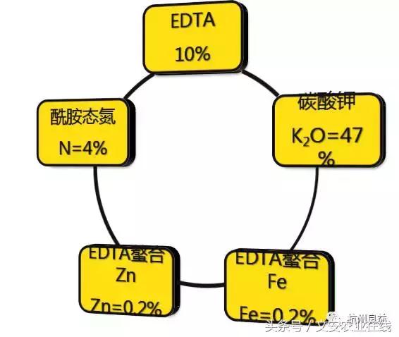 西瓜全程种植技术方案