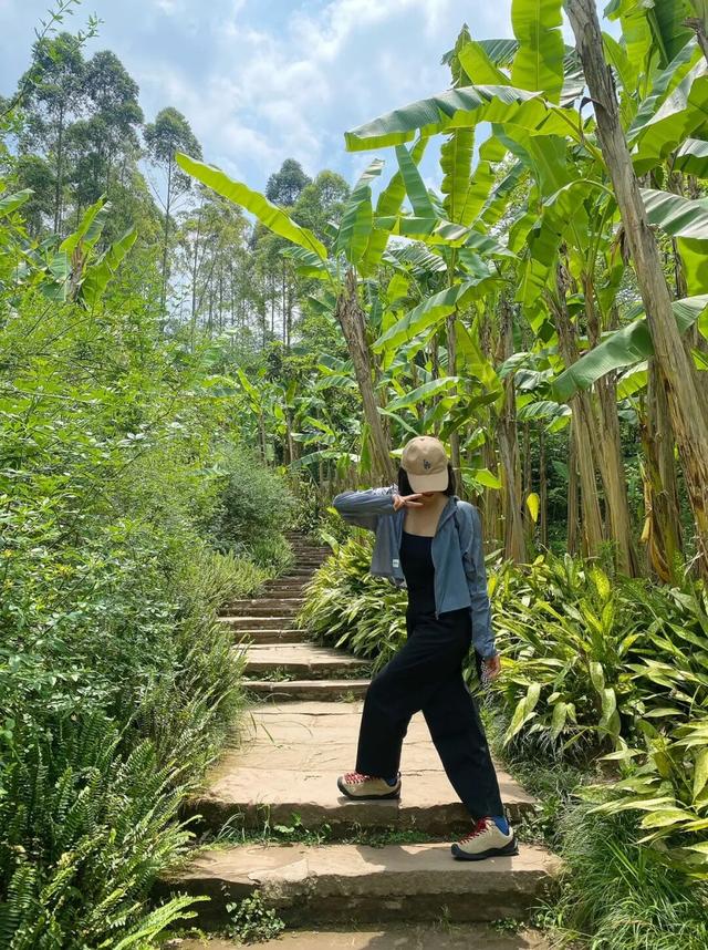 向日葵花海已进入盛花期，免费打卡！周边爬山徒步、大运公园观海