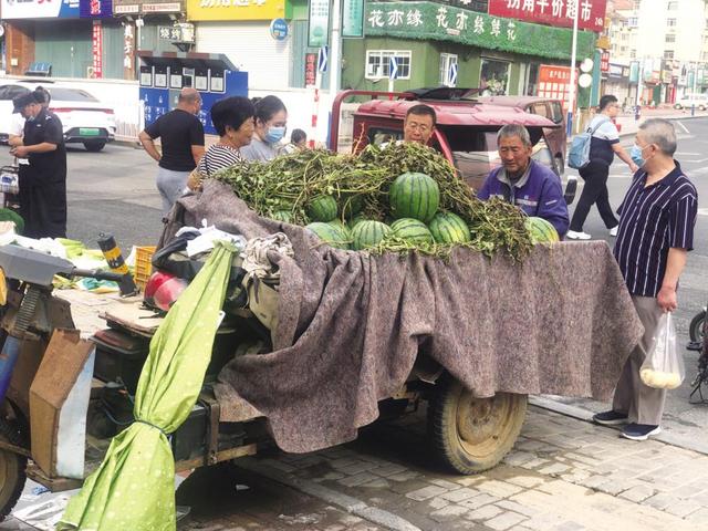 牟平地雷瓜为何叫不响？质量不稳定、价格上不去是主因