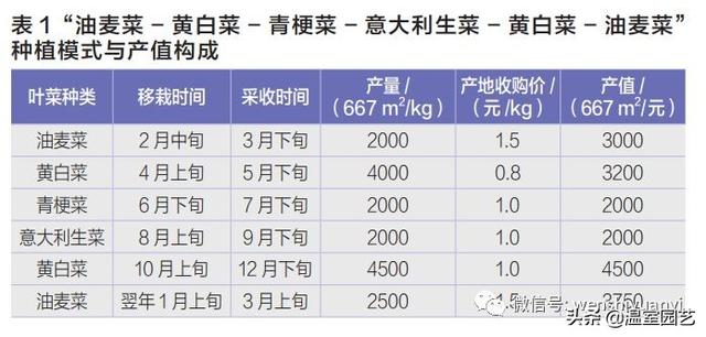 1年6茬速生叶菜栽培模式，你值得拥有