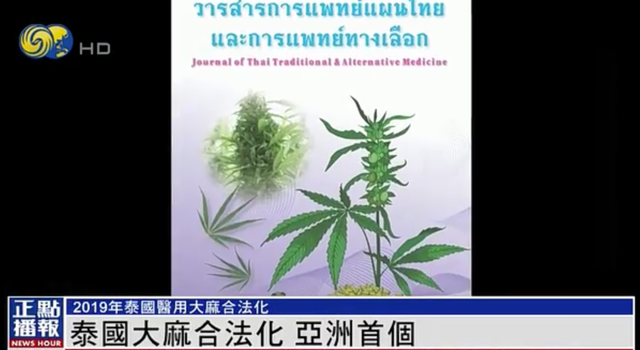 泰国成为亚洲首个大麻合法化国家，其背后推动力是什么？