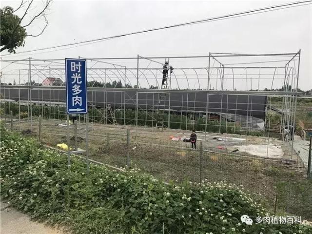 多肉大棚建造记：梦想从不会辜负每一个努力追梦的人！