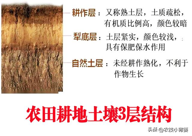 小麦深耕播种有哪些优点和缺点？深耕播种适合哪些地、有啥要求？