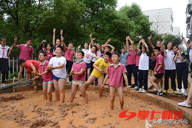 种水稻的城里娃——怀化市红星路小学学生水稻种植体验侧记