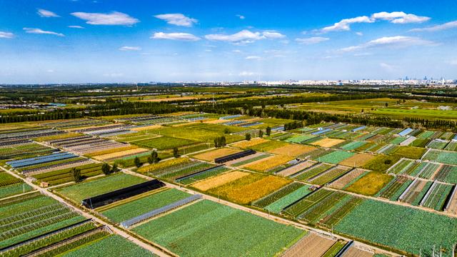 航拍蔬菜种植基地 犹如一条条绿油油、黄澄澄的格栅