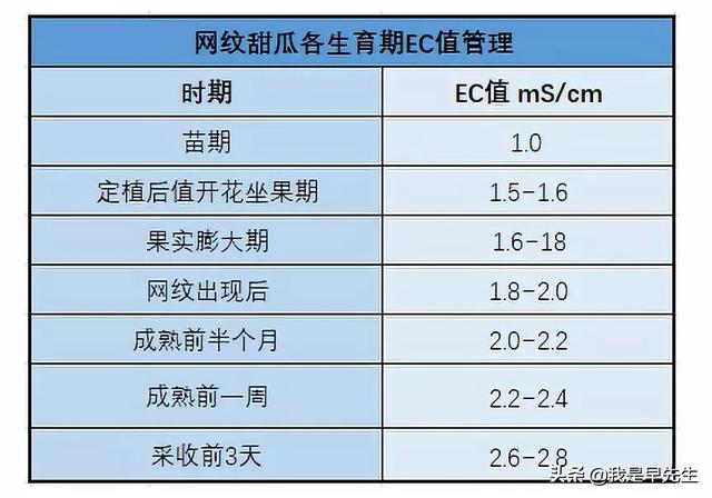 如何运用岩棉栽培技术种出又多又好吃的瓜果？