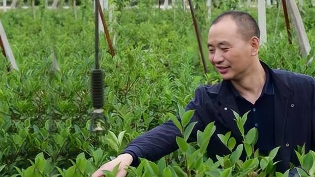 刘成白手起家种植油茶果，年收入破五千万元，带领村民共同创收