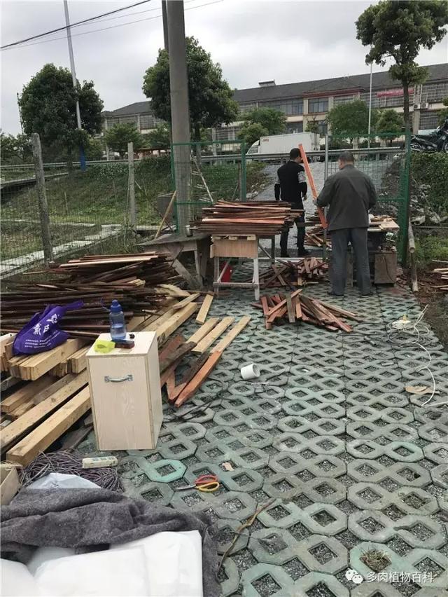 多肉大棚建造记：梦想从不会辜负每一个努力追梦的人！