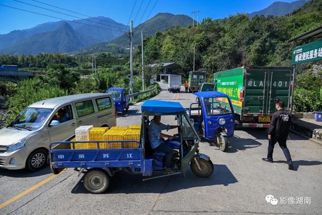 在北纬25°的东江湖畔，移民种植的这种水果，闻名全国！