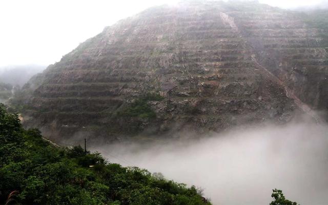 湖北黄石废石场种百万株刺槐 成为亚洲最大硬岩复垦基地