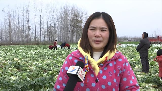 爱心助农拓销路 乡村振兴显担当