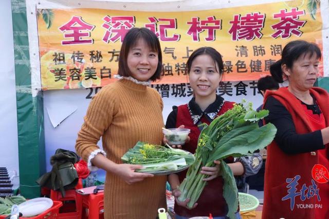 花式做菜心！会跳“芭蕾舞”的迟菜心，你吃过吗？