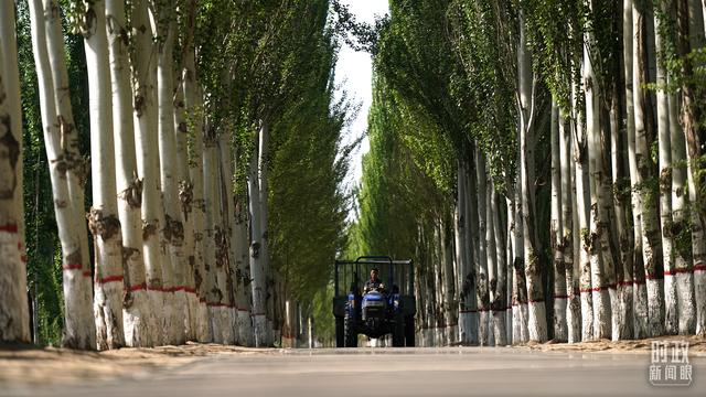 时政新闻眼丨在这场座谈会上，习近平部署打好“三北”工程攻坚战