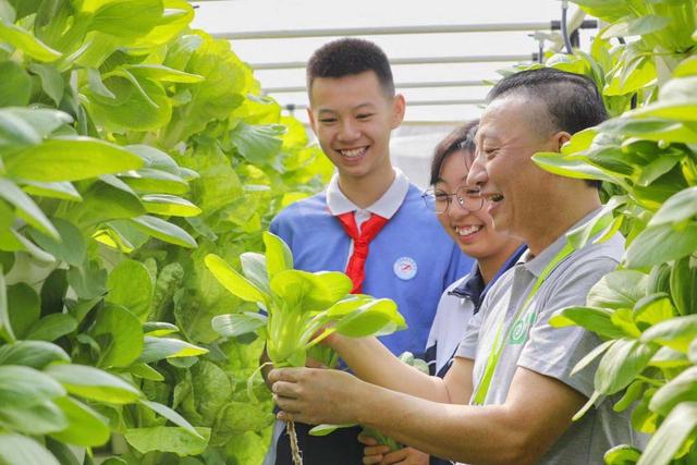 海卓生物科技：无土栽培、智能管控，城市的阳台楼顶都能变成小菜园｜创业