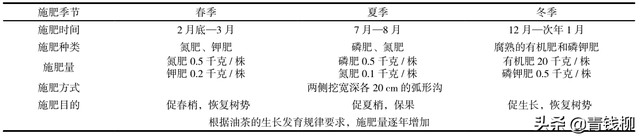 浅析油茶栽培抚育技术_董云