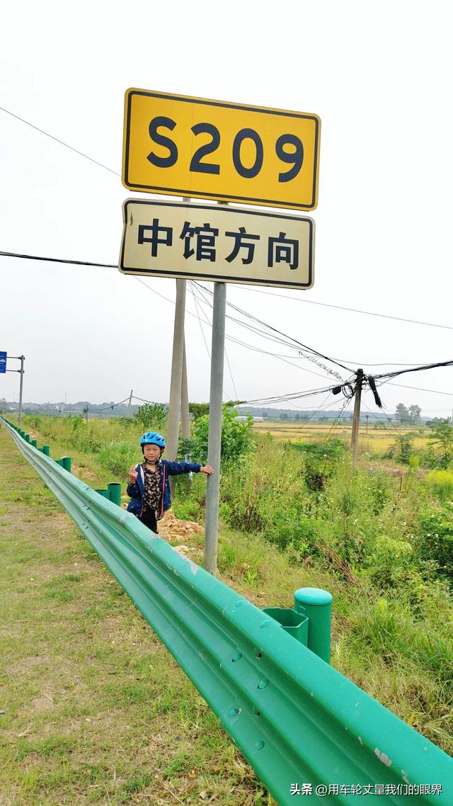 前几日儿子要写一篇作文，要求书写植物的生长的观察日...