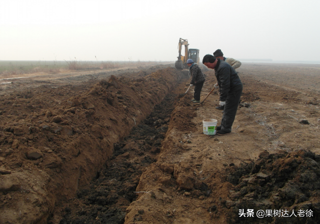 桃树栽培管理学问多，学习了解这些错，避免一错再错伤心多