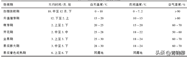 宁夏引黄灌区塑料大棚葡萄促成栽培技术指南