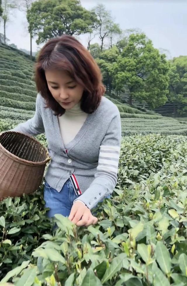 央视主持刘芳菲穿万元衣干农活！素颜吸睛长白发，45岁未婚太可惜