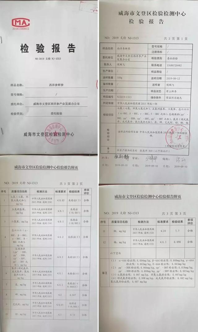 每亩收入近10万！种西洋参致富的秘诀，你也可以学到