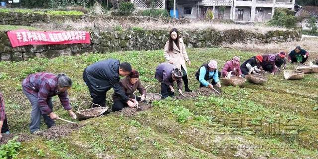 赵代香：万里回国建药材基地 四年打拼引村民致富