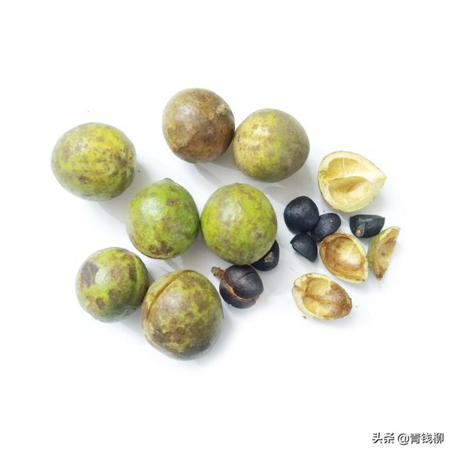 浅析油茶栽培抚育技术_董云