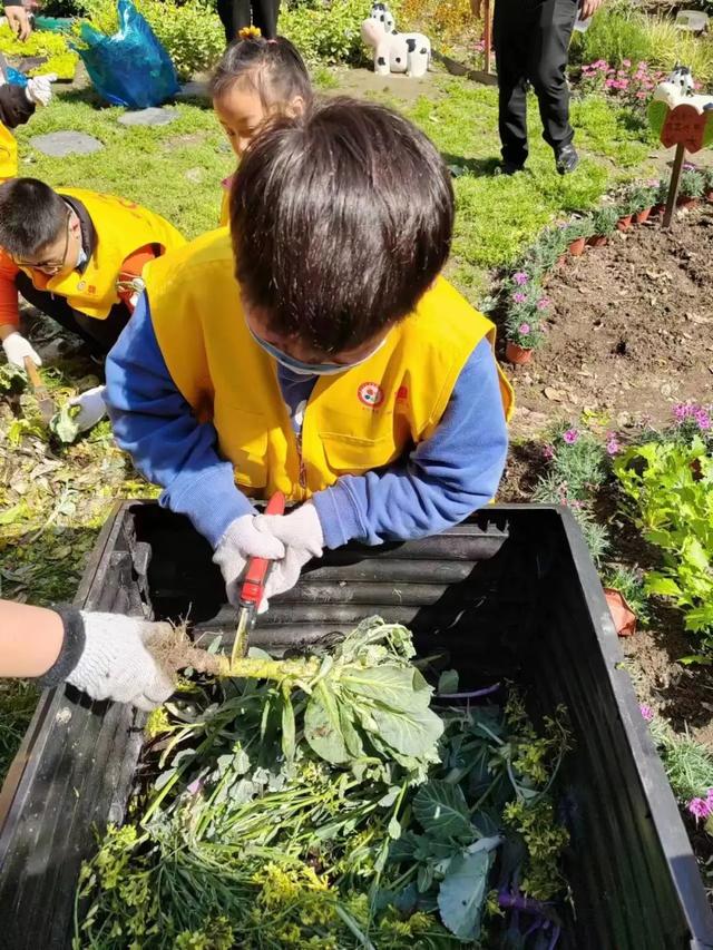 把春天“种出来”，宝山这里举行亲子种植活动