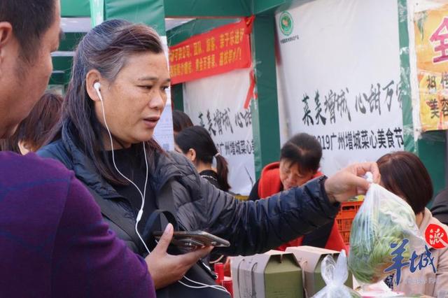 花式做菜心！会跳“芭蕾舞”的迟菜心，你吃过吗？