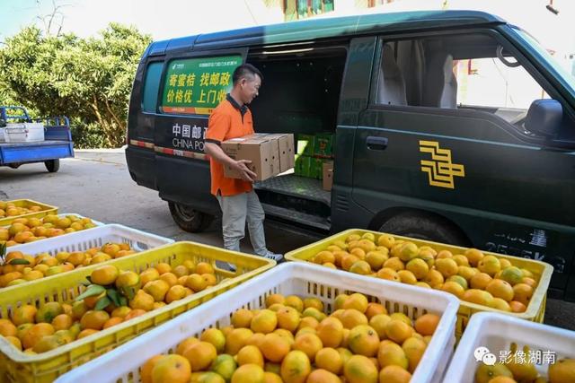 在北纬25°的东江湖畔，移民种植的这种水果，闻名全国！