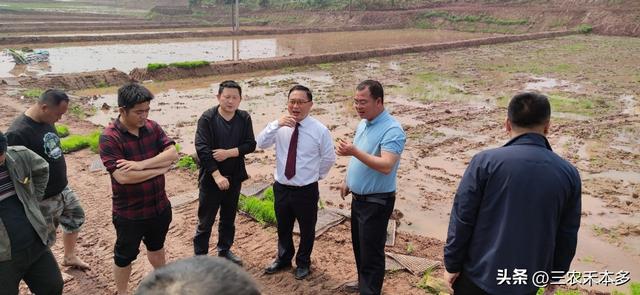 认识和理解水稻土，提升种植管理水平，提高水稻产量