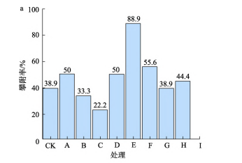 培育密花豆时，微肥配施的处理对生物学性状有什么影响？