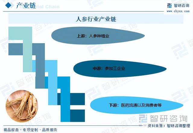 2023年全球及中国人参市场现状分析：全球80%以上的人参产自中国