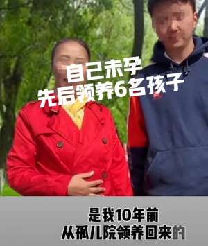 种植地黄一亩利润多少(20亩地承包，竟然索要50万？广东李芸某被同村人控告)